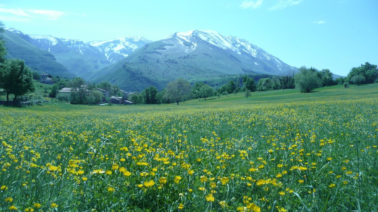 فيلا Poesia D'Abruzzo كارامانيكو تيرمي المظهر الخارجي الصورة